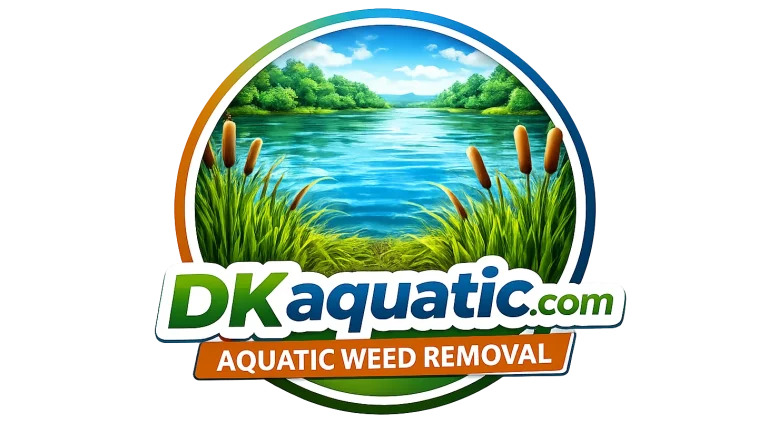 Featured image for Auto-prepared featured image