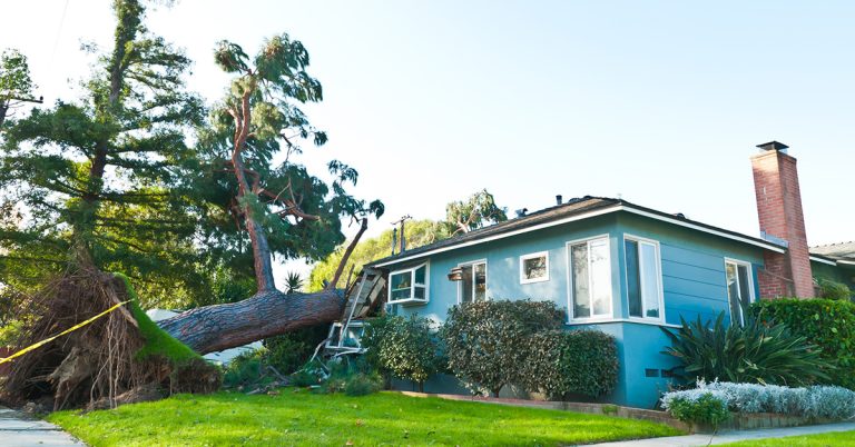 Featured image for Auto-prepared featured image